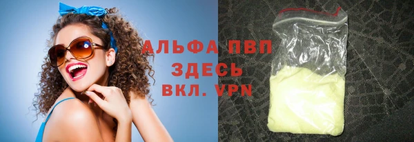 прущие грибы Бронницы