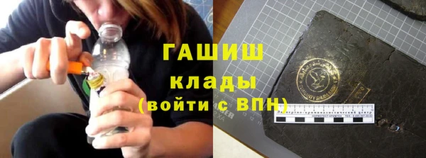 прущие грибы Бронницы