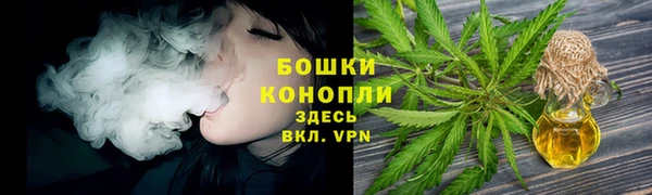 прущие грибы Бронницы