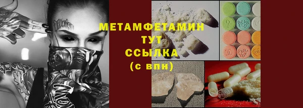 прущие грибы Бронницы
