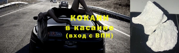 прущие грибы Бронницы
