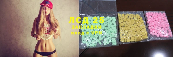 прущие грибы Бронницы