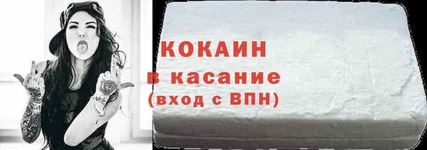 прущие грибы Бронницы