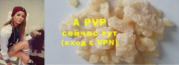прущие грибы Бронницы