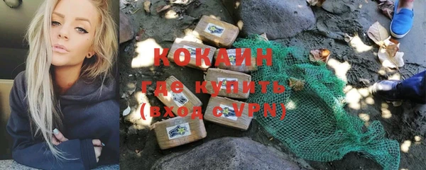 прущие грибы Бронницы