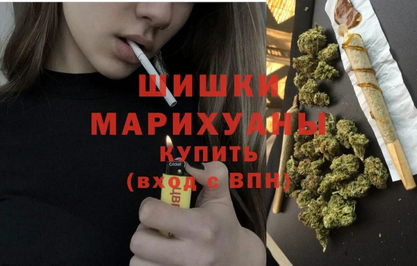 прущие грибы Бронницы
