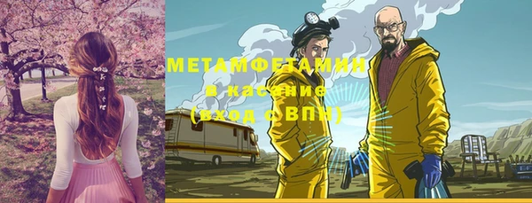 прущие грибы Бронницы