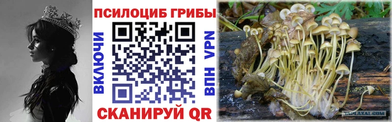 MEGA ссылки  Невьянск  Псилоцибиновые грибы MAGIC MUSHROOMS  где продают  